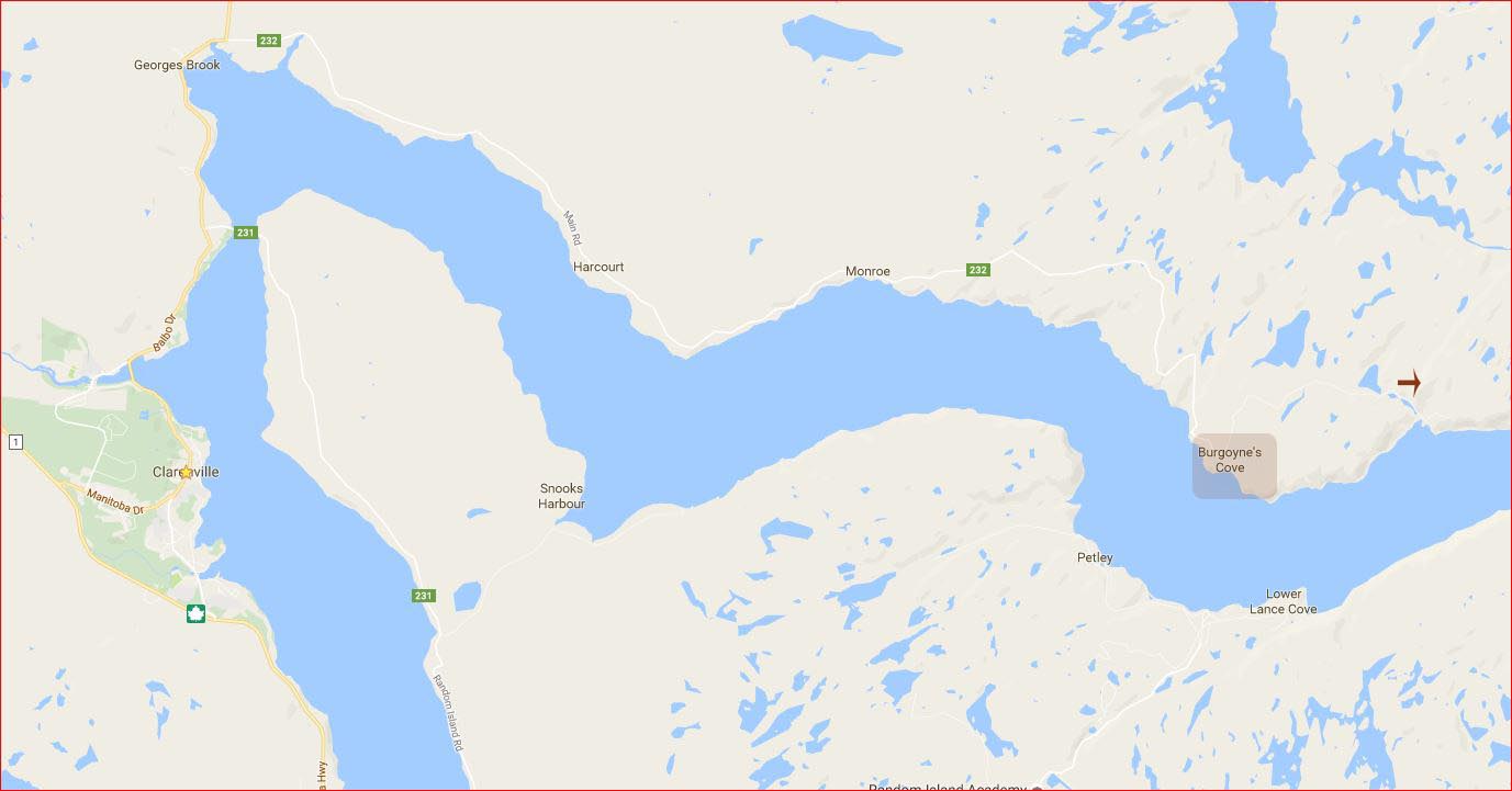 Some Newfoundland Walks Burgoyne's Cove RB36 Crash Site