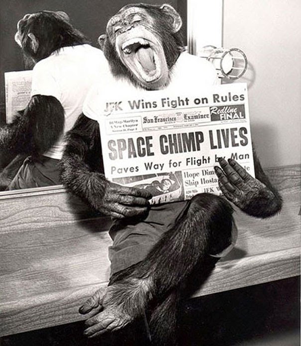 40 Must-See Photos Of The Past - A space chimp posing to camera after a successful mission to space, 1961
