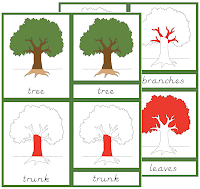 The Helpful Garden Montessori Botany Primary Parts Of Cards Update Primary Parts Of The Tree Cards Red Isolation Click On Picture To Link File