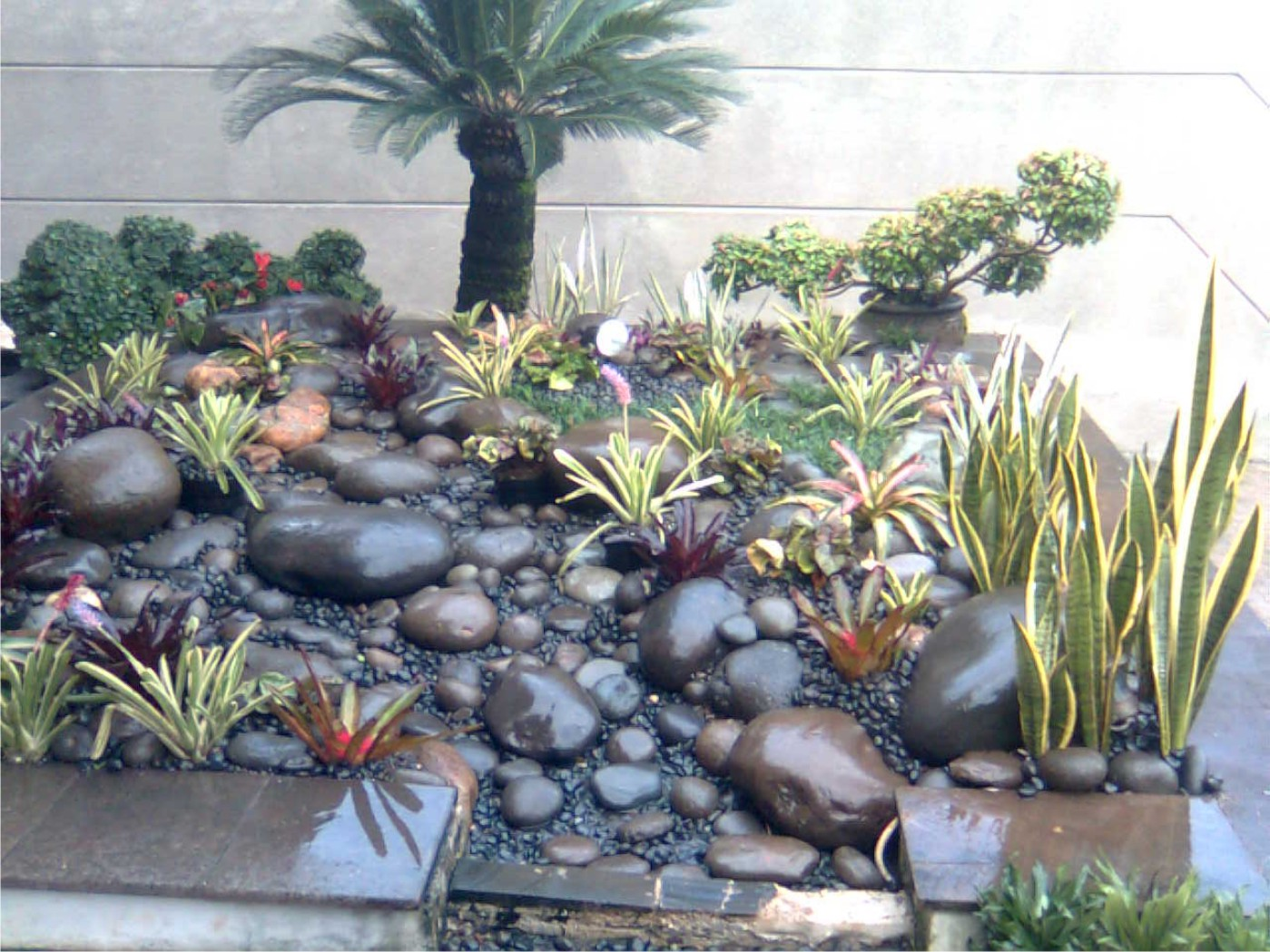 Taman Minimalis Taman Minimalis Batu Kali