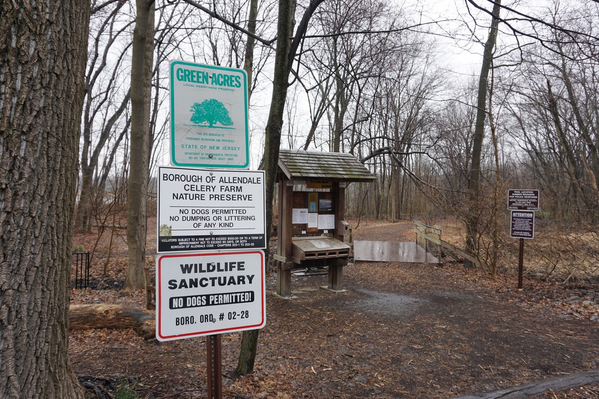 Harriman Hiker Harriman State Park and Beyond Celery Farm Loop