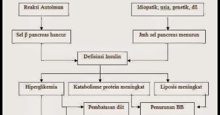 Pengertian Diabetes Melitus ( Penyebab Jenis-jenis dan Cara Mengobati )