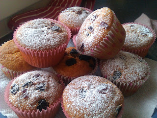 Raisin and Cranberry Muffins