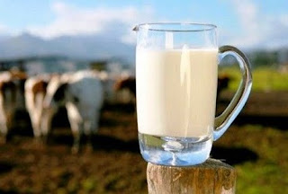 Ποια είναι η ΣΟΚΑΡΙΣΤΙΚΗ αλήθεια για το γάλα;;; Τι ΠΡΟΒΛΗΜΑΤΑ μπορεί να δημιουργήσει;;;