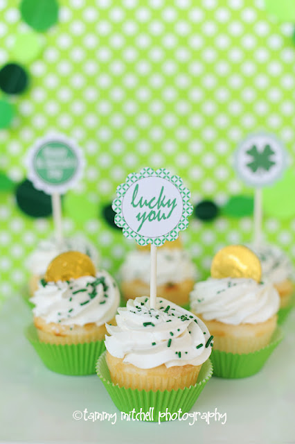 Kara s Party Ideas St  Patrick s Day Birthday Party  - 25