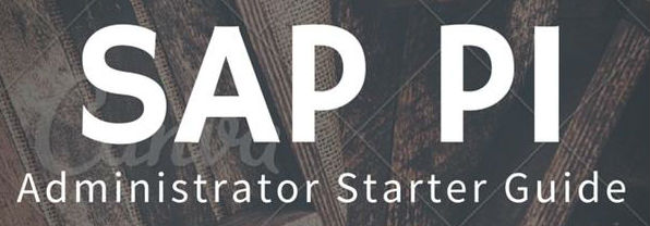 SAP Process Integration Starter Guide for Basis Administrators