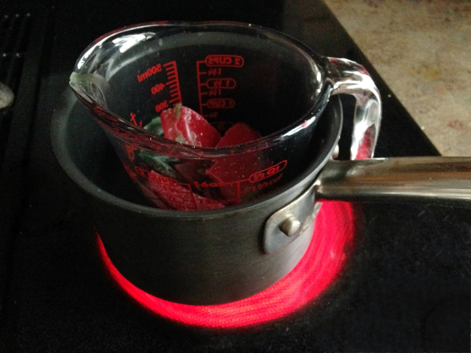 oil and blue THE GREATEST FIRE STARTERS egg carton, lint, & wax