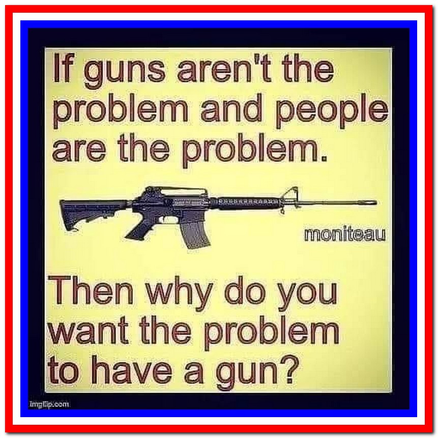 Acerbic Politics America, we have a gun problem