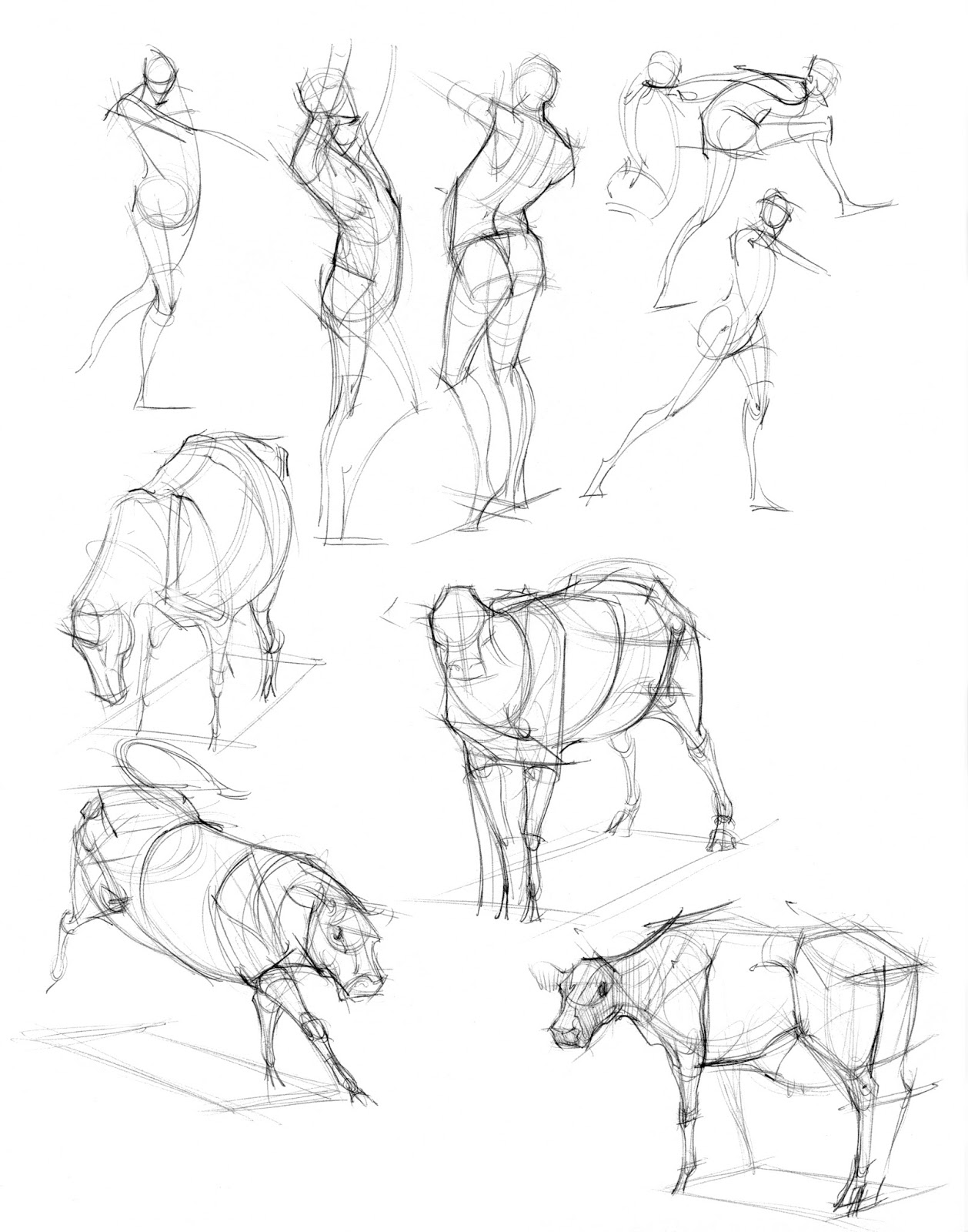 художественные зарисовки. наброски рисунков карандашом. наброски птиц. эскизы и зарисовки. зарисовки птиц.