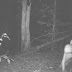 13 photos captées dans la forêt par des détecteurs de mouvements qui glacent le sang!