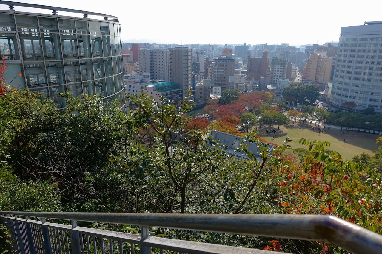 アクロス福岡（ACROS FUKUOKA）からの眺め