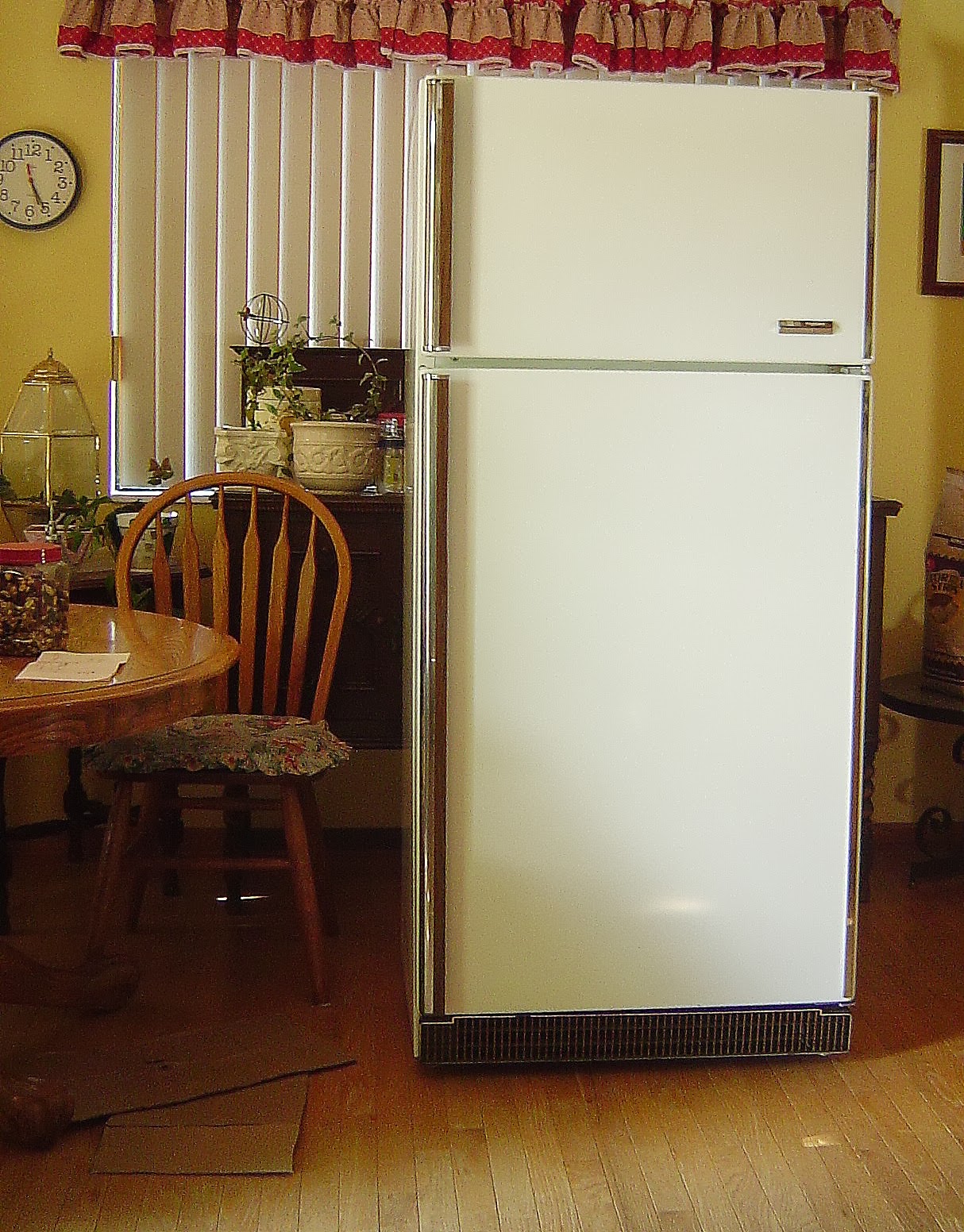 Meadowsweet Cottage: The New Fridge--Life's Good