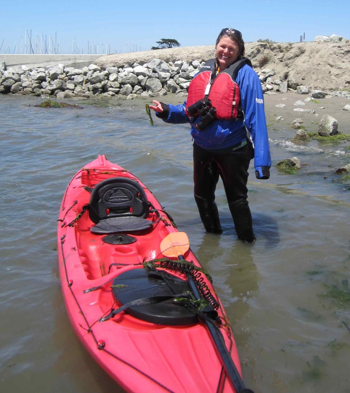 Kayaking the Elkhorn Slough Swimming with the fishes