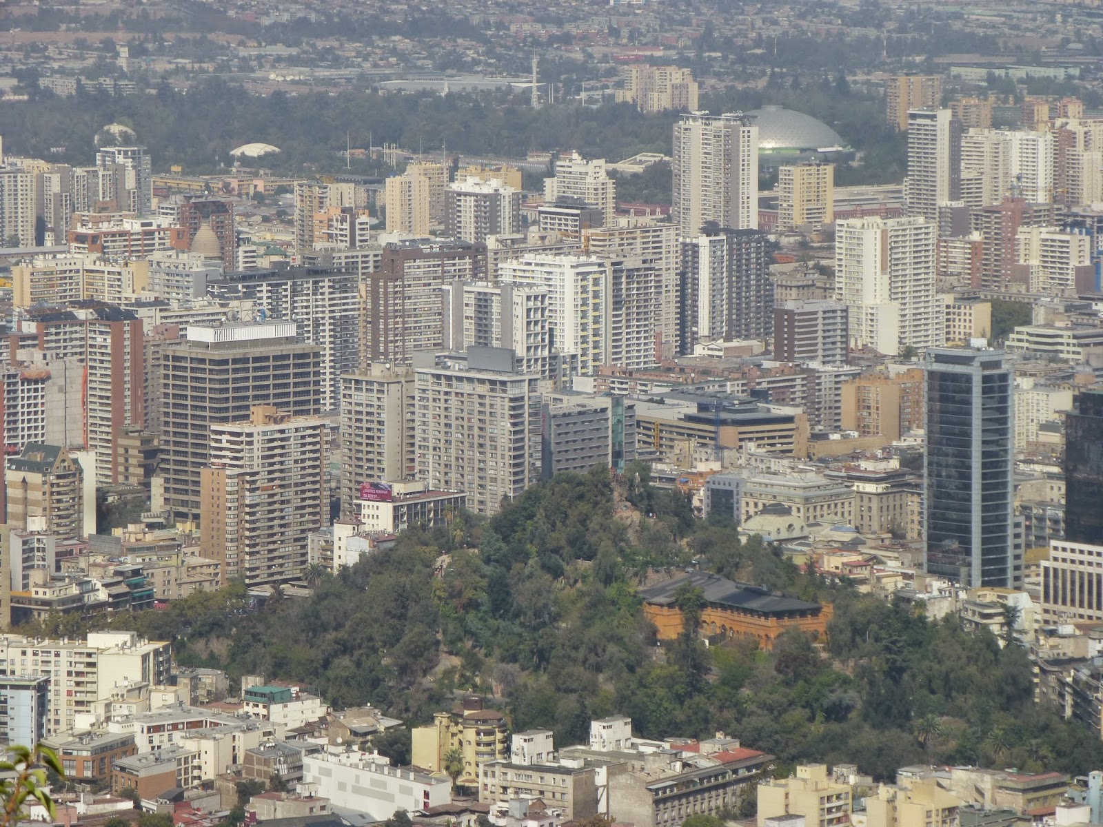 hähnchenknochen_hund — Mein Leben mit Hund