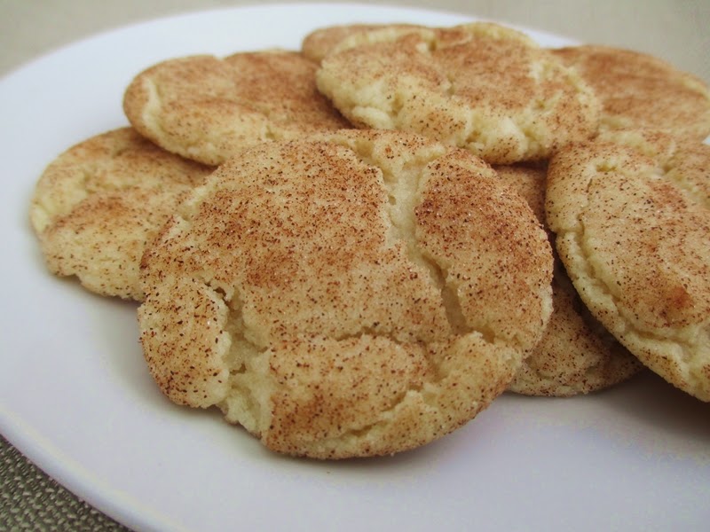 Closeup of perfect snickerdoodle cookie