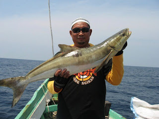 MALAYSIAN FISH HUNTER: Red of Sarawak