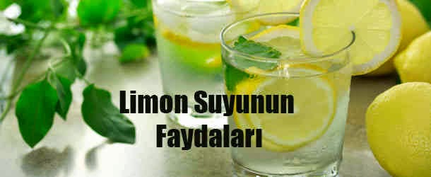 limon ve faydaları