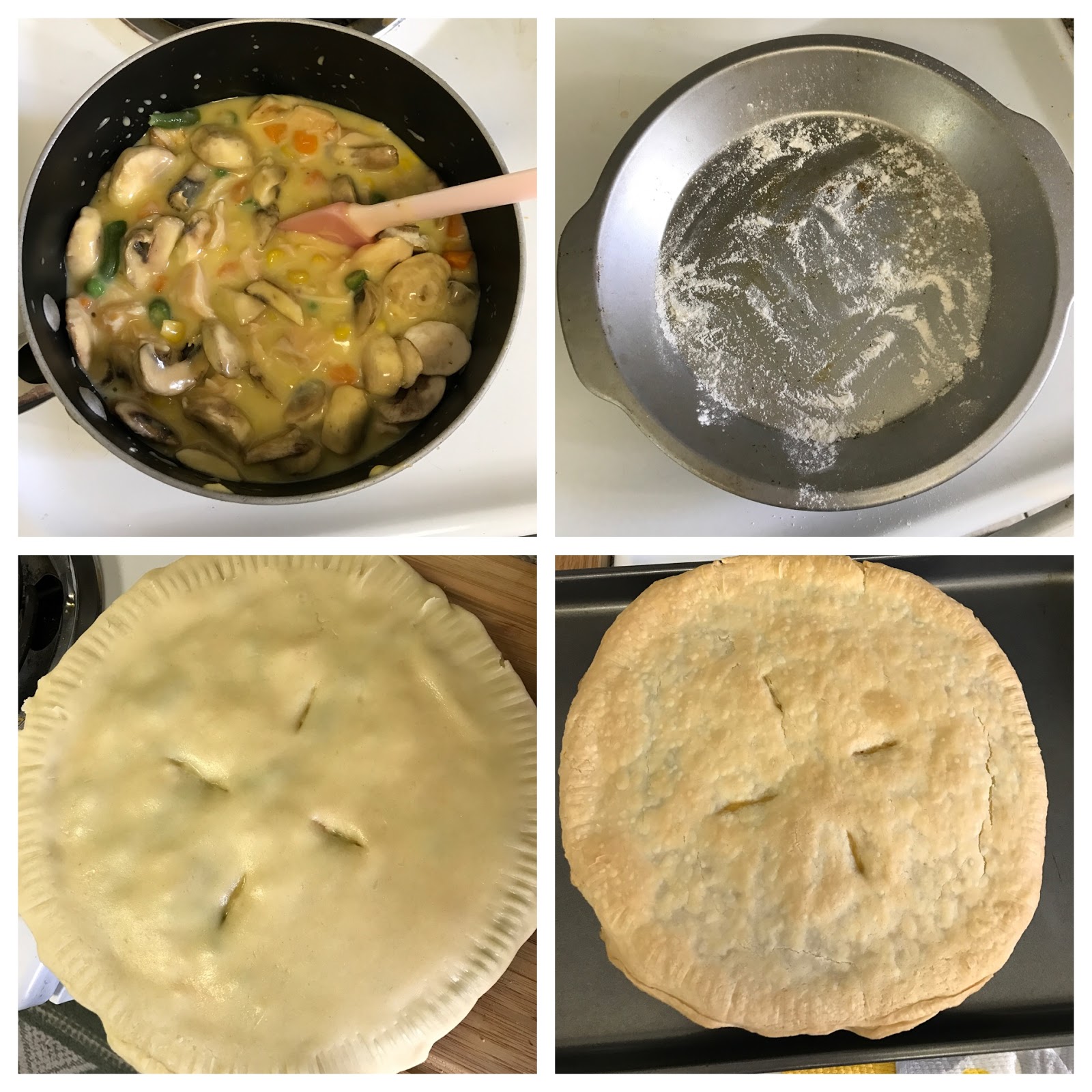 Just a Single Girl in a Florida World Homemade Pot Pie