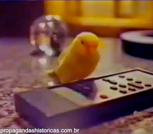 Propaganda da linha de som AS 700 da Philco Hitachi: um pássaro comanda as operações do revolucionário controle remoto, daquela época.