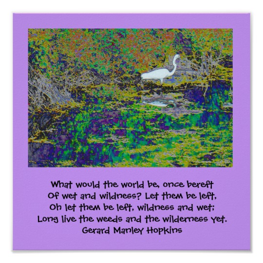 gerard manley hopkins This study offers insights into gerard manley hopkins, his view of the world, his mind, his interests and his relationship with god. gerard manley hopkins This study offers insights into gerard manley hopkins, his view of the world, his mind, his interests and his relationship with god.