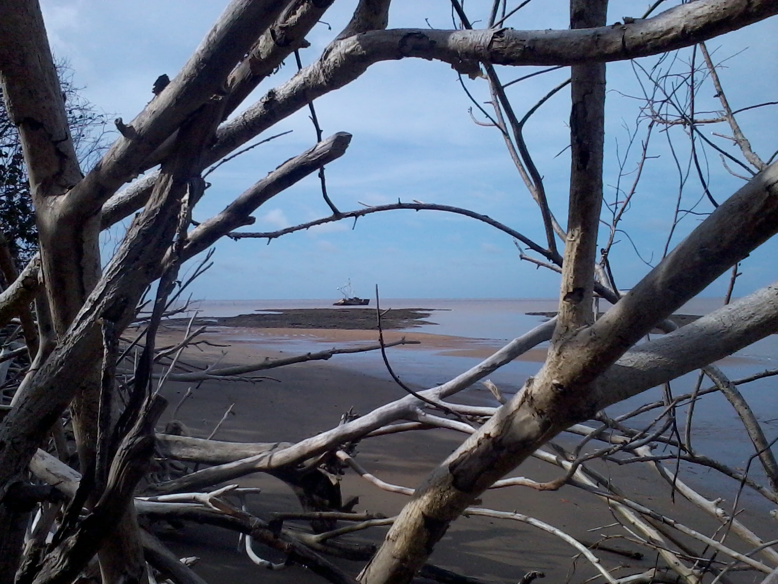 VOILIER WINTA Plans et Construction Tour de l'Ile de Cayenne