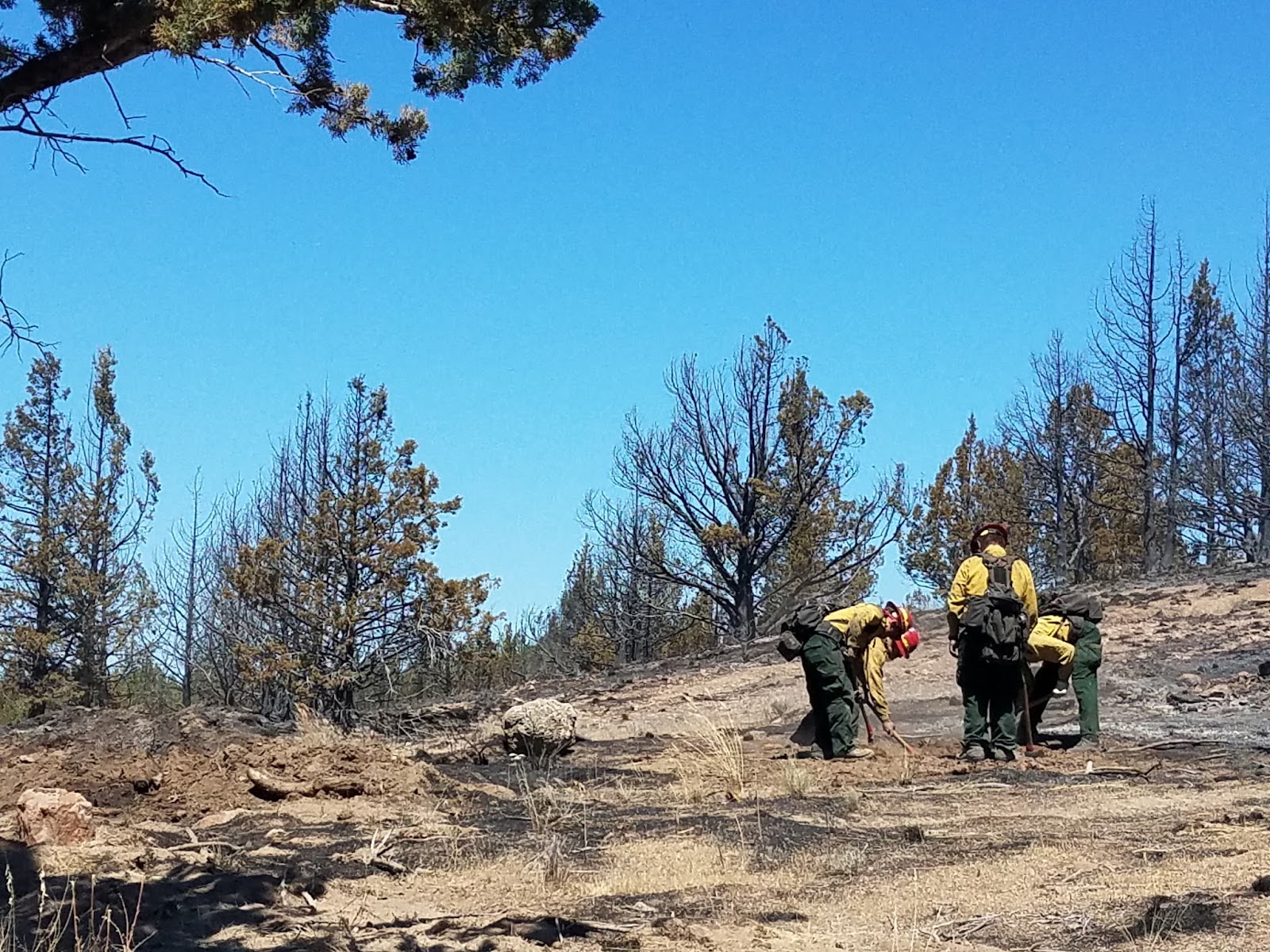 Oregon Department of Forestry Central Oregon District