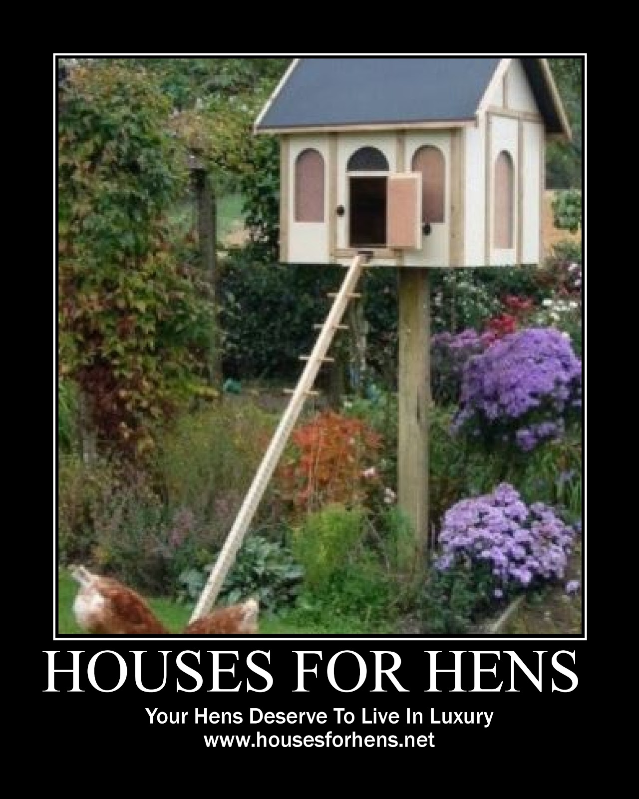 AlAyoubi & Thompson Houses For Hens, luxury poultry housing