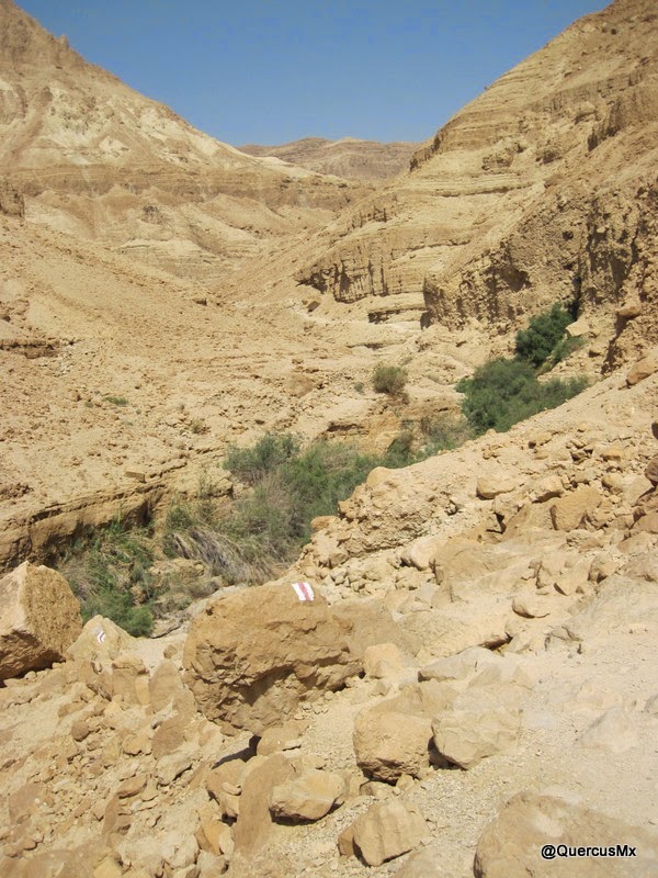 La ruta rojo con blanco va paralela al cauce del río, en Wadi Arugot