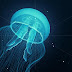 10 Interesting Facts You Probably Don’t Know About Jellyfish