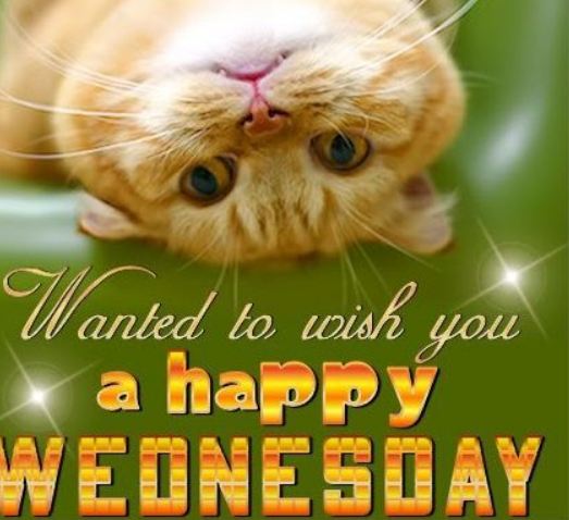 Happy Wednesday Images