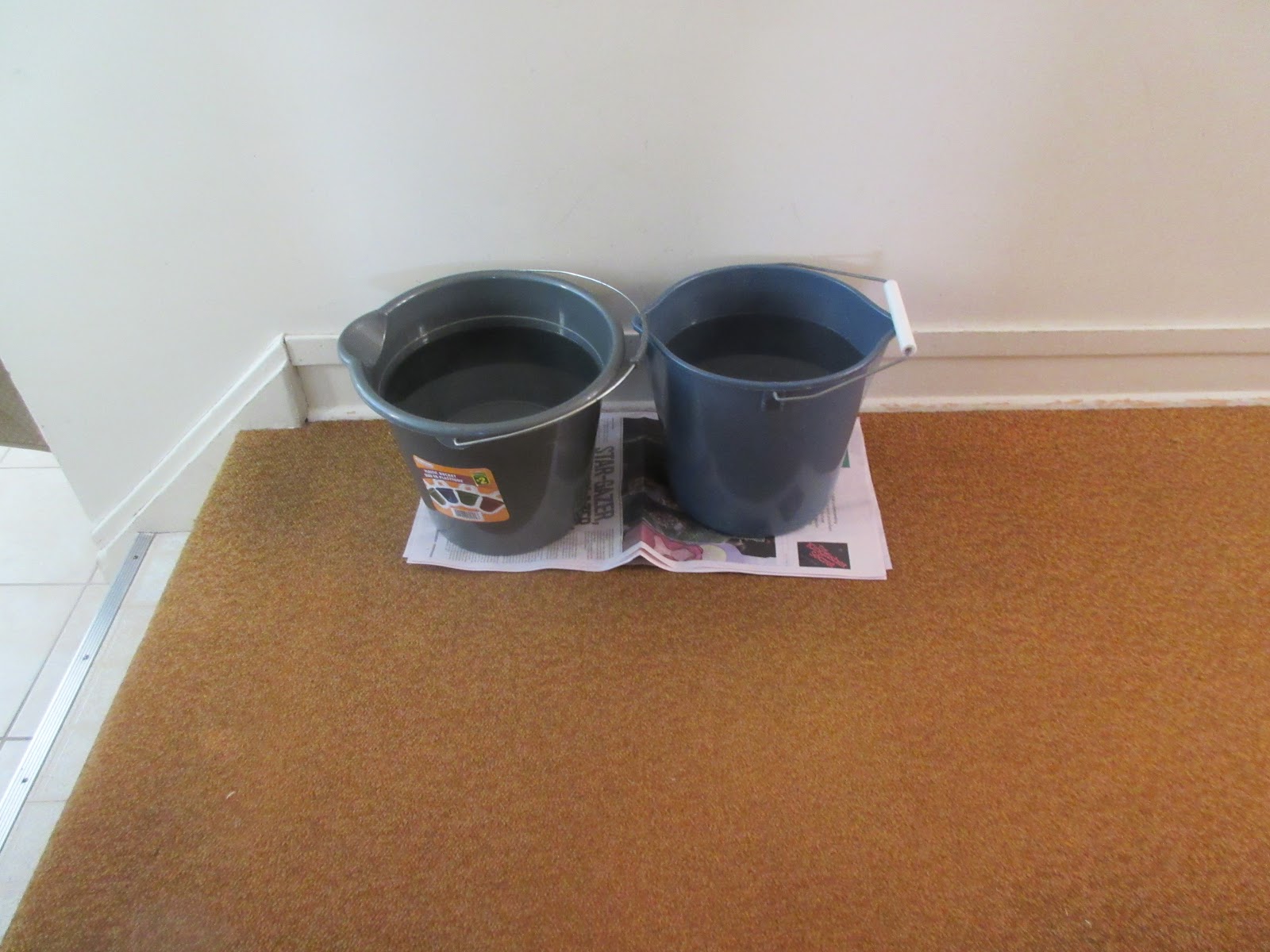 Marlene's Space Buckets of Water