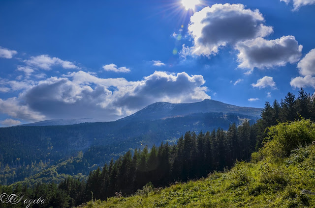 В-планината-In-the-mountain