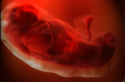 Sperm whale wallpapper Barbie clean shaven cock