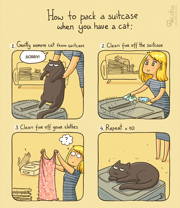 15+ Comics That Purrfectly Capture Life With Cats 15+ Comics That Purrfectly Capture Life With Cats