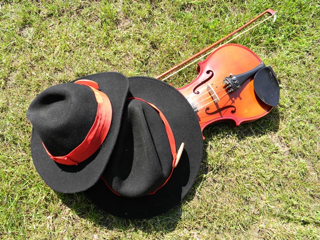 skrzypce kapelusze, instrument, trawa, występ