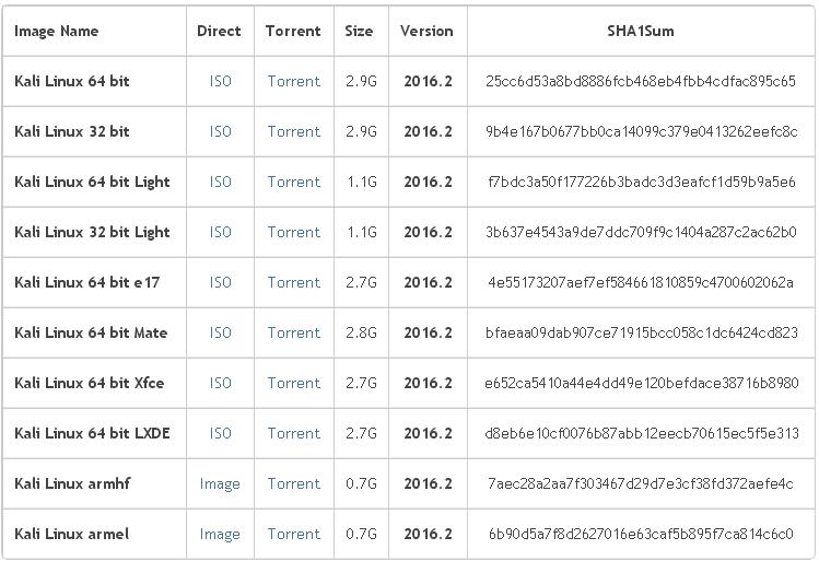 Downloading and Burning Kali Linux into Usb Drive Kali Linux Judge