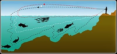 Basic Jigging Technique - Part 2 - BigTackleBox