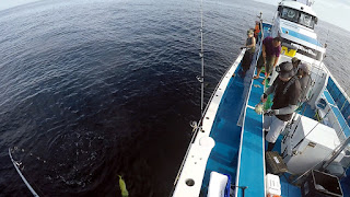 南房 富浦 共栄丸 南房 富浦 共栄丸