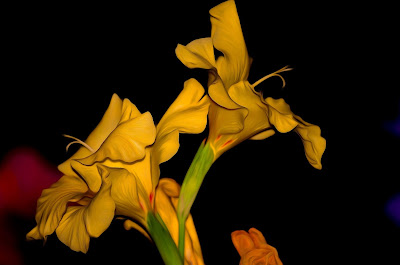 Gladiolen, gladioli, swaardlelies, gladiole, gladiolus, Gladiolen, gladioli, swaardlelies, gladiole, gladiolus, gladioolide, gladiolukset, glaïeuls, γλαδιόλες, glaidiólais, gladiols, gladiolu, kardeliai, gladioler, mieczyki, gladíolos, gladiole, Гладиолусы, Гладиоли, mečíky, гладіолуси, kardvirág, a, гладыёлусы, , グラジオラス、