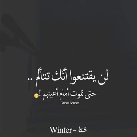 shof_1ca742069c80ff2.jpg