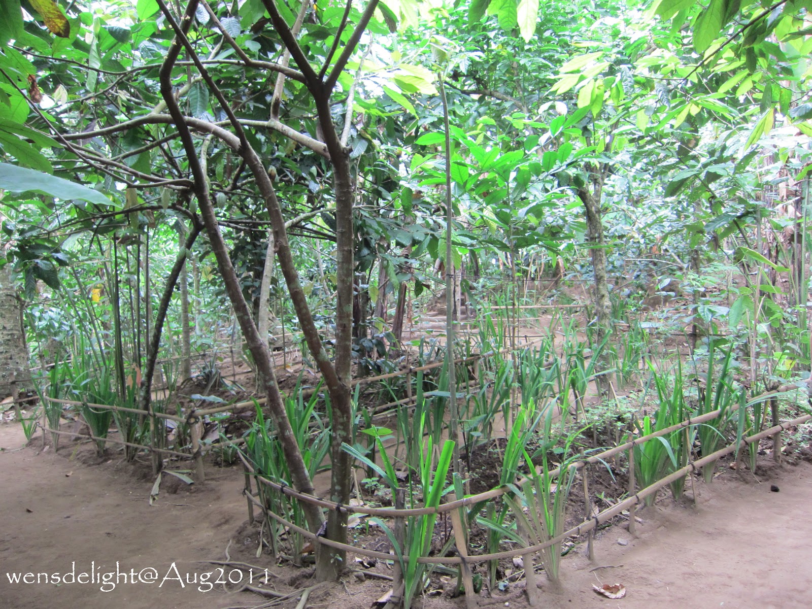 Wen S Delight Santi Agro Wisata Farm Wen S Delight Santi Agro Wisata Farm