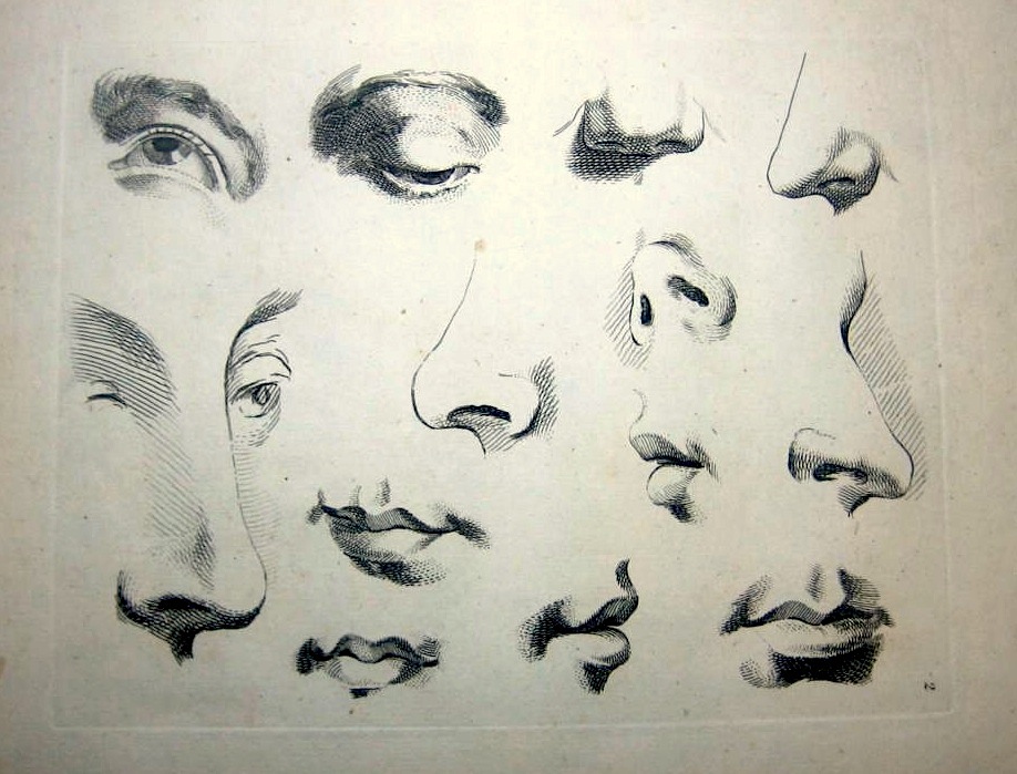 Figure Drawing How to draw Eyes, Nose, Ears and Mouths