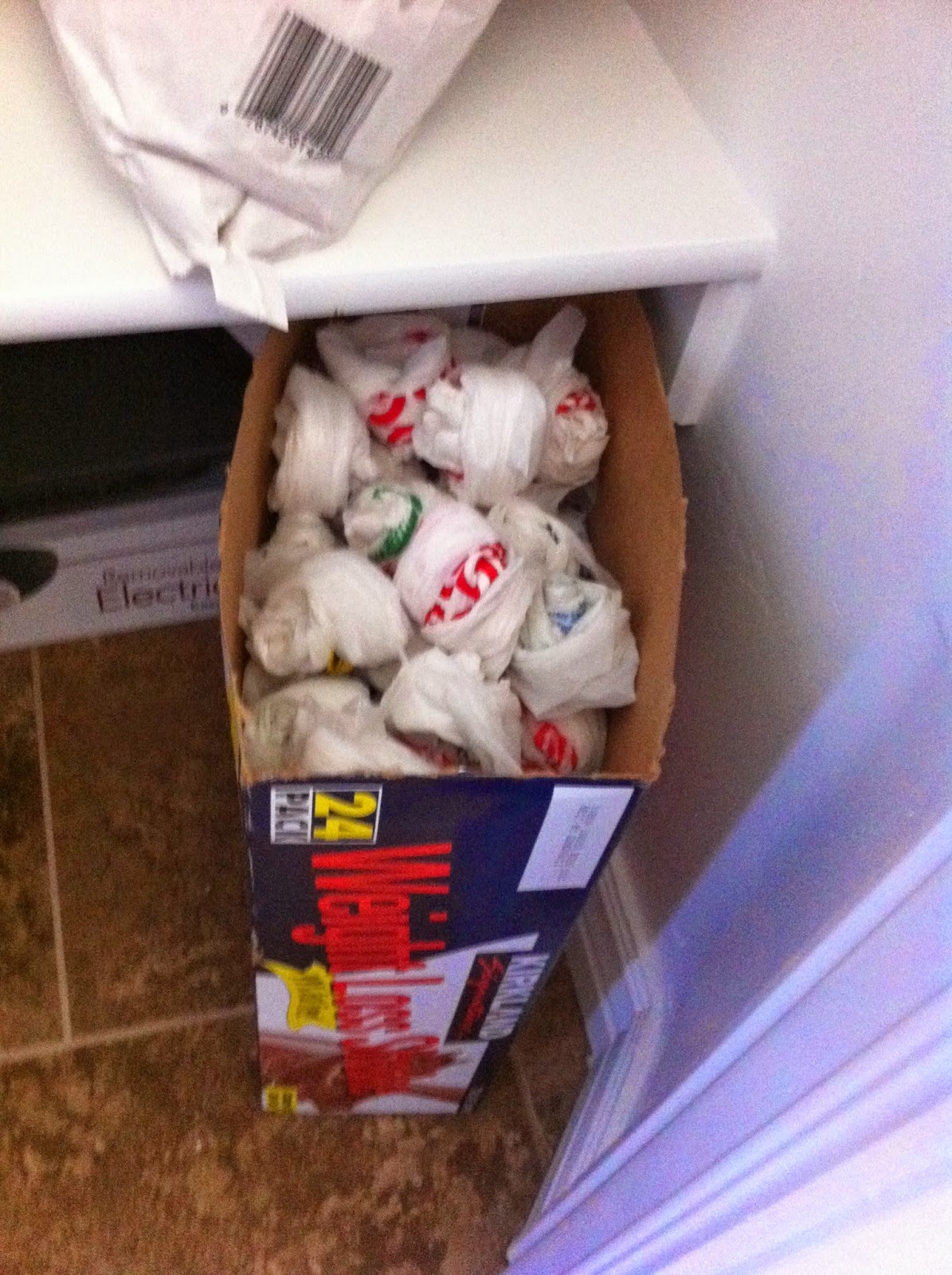 Relishing The Moments Fast and Easy Grocery Bag Storage