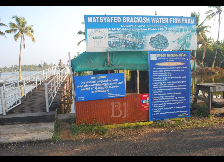 BENN PHOTOGRAPHY © Aqua Fish Farm Narakkal a place to visit in Kochi