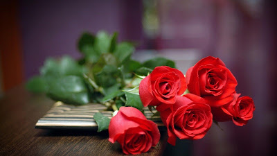 Rose Day Rose Day