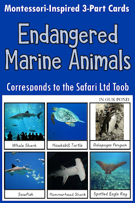 Endangered Marine Animals 3-part Cards from In Our Pond #montessori #printable #homeschooling #montessoriathome #montessorischool #school #marine #safaritoob #howisafari