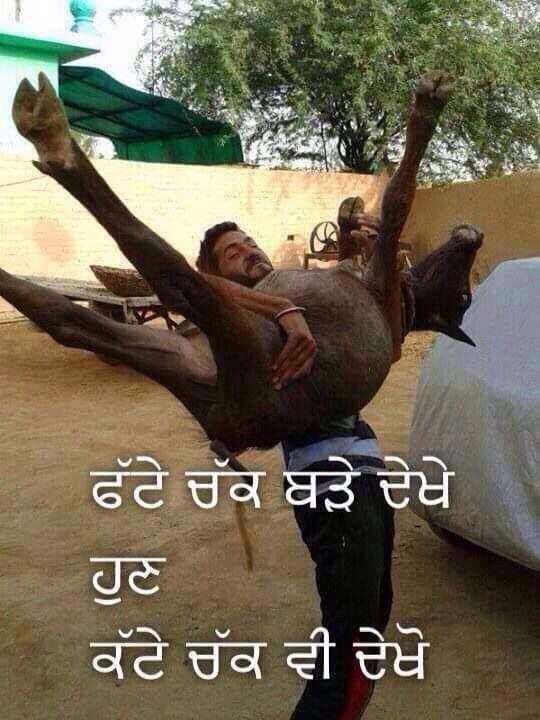 Punjabi Funny Wording Pictures For Whatsapp Whatsapp Images Funny Love And Romantic Funny Punjabi Jokes Images Status Pictures Pics Punjabi Funny Wording Pictures For Whatsapp Whatsapp Images Funny Love And Romantic Funny Punjabi Jokes Images Status Pictures Pics