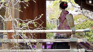 Día 14 - Kyoto (Arashiyama) - Japón primavera 2016 - 18 días (con bajo presupuesto) (11)