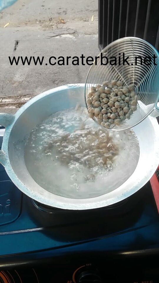 Cara Membuat Bubble Dan Menyimpan Bubble Yang Benar Cara Terbaik