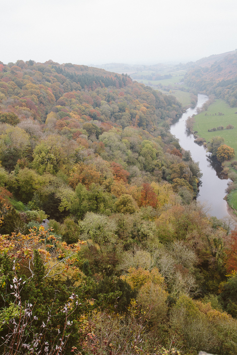 Autumnal Forest Adventures - Symonds Yat